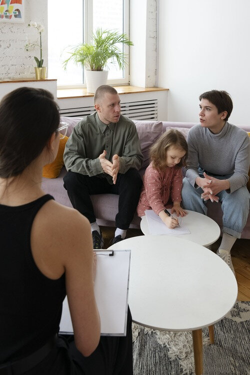 parenting time access